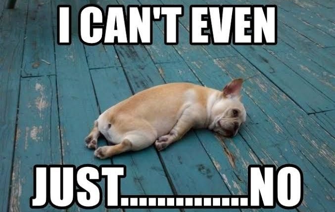I can`t even.jpg